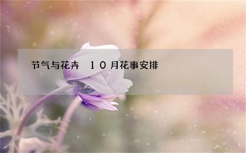 节气与花卉 10月花事安排